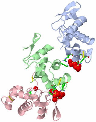 Image Asym. Unit - sites