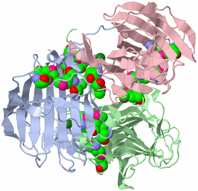 Image Asym./Biol. Unit