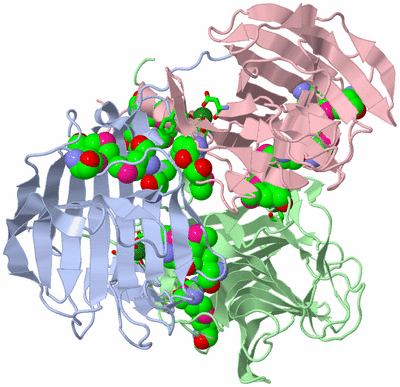 Image Asym./Biol. Unit - sites
