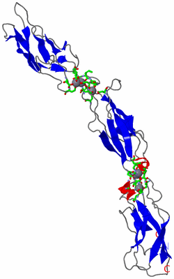 Image Asym. Unit - sites