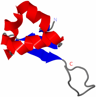 Image NMR Structure - model 1