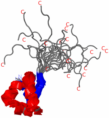 Image NMR Structure - all models