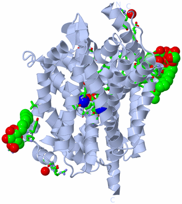 Image Biol. Unit 1 - sites