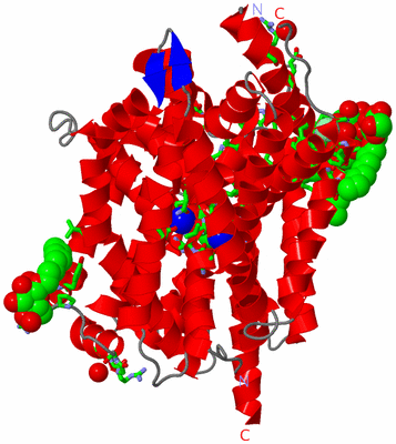 Image Asym. Unit - sites