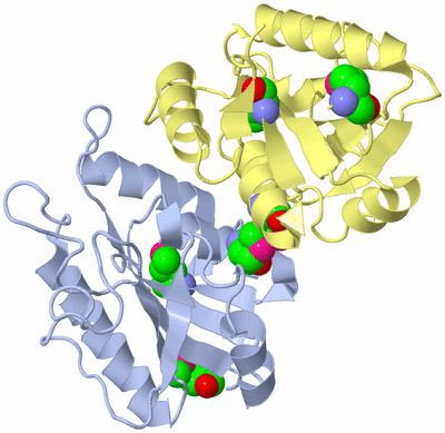 Image Biological Unit 1