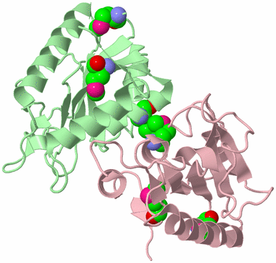 Image Biological Unit 2