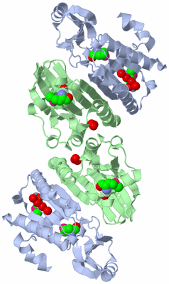 Image Biological Unit 2