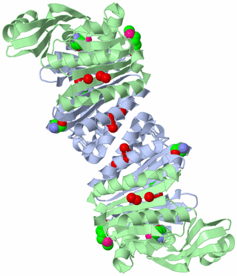 Image Biological Unit 3
