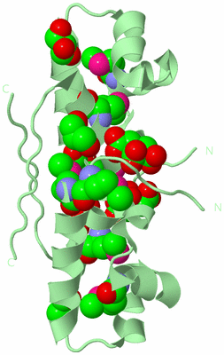 Image Biological Unit 3