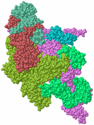 Image Biological Unit 2