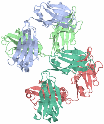 Image Biological Unit 1