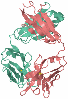 Image Biological Unit 3