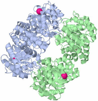 Image Biological Unit 1