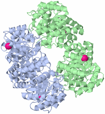 Image Biological Unit 1