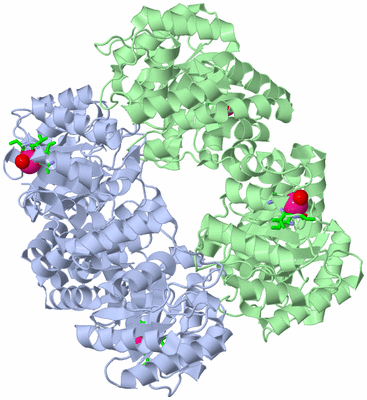 Image Biol. Unit 1 - sites