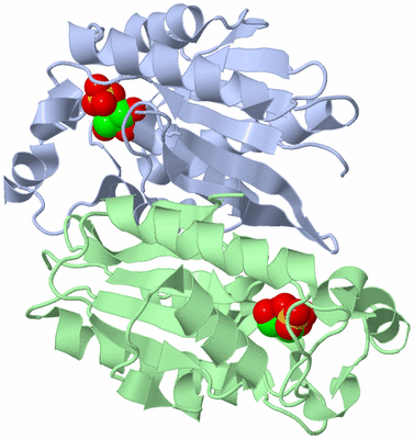 Image Asym./Biol. Unit