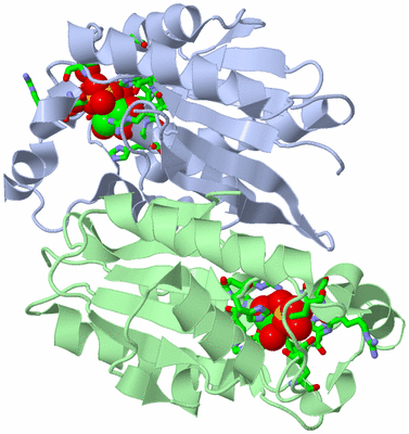 Image Asym./Biol. Unit - sites