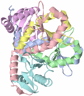 Image Biological Unit 3