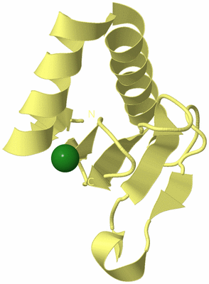 Image Biological Unit 4