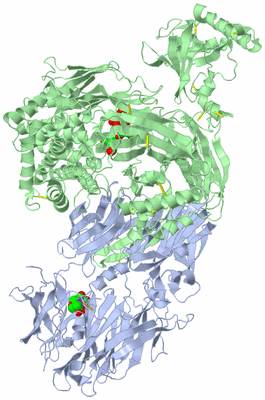 Image Asym./Biol. Unit