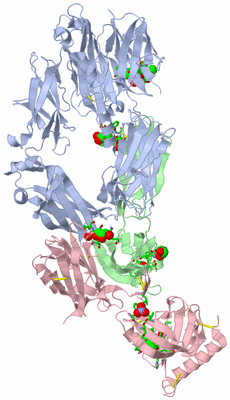 Image Biol. Unit 1 - sites