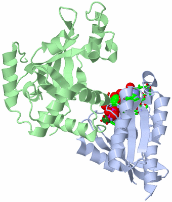 Image Asym./Biol. Unit - sites