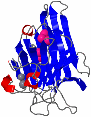 Image Asymmetric Unit