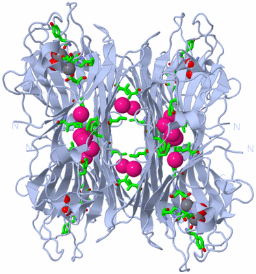 Image Biol. Unit 1 - sites