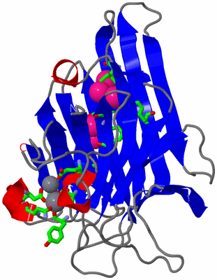 Image Asym. Unit - sites