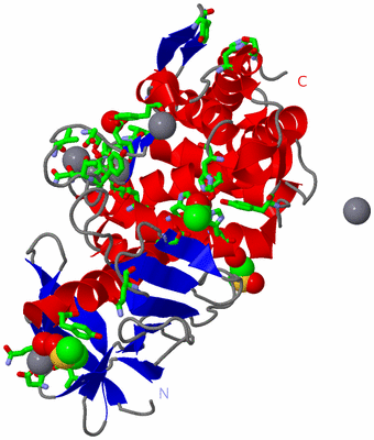 Image Asym./Biol. Unit - sites