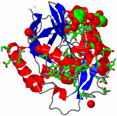 Image Asym./Biol. Unit - sites