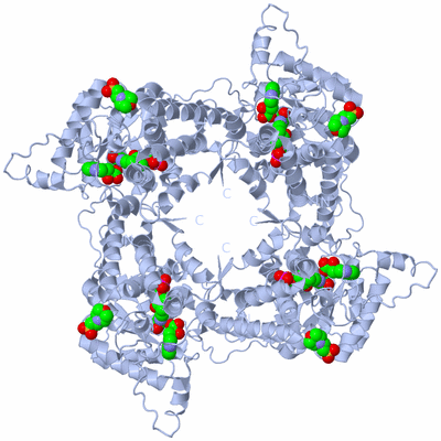 Image Biological Unit 1