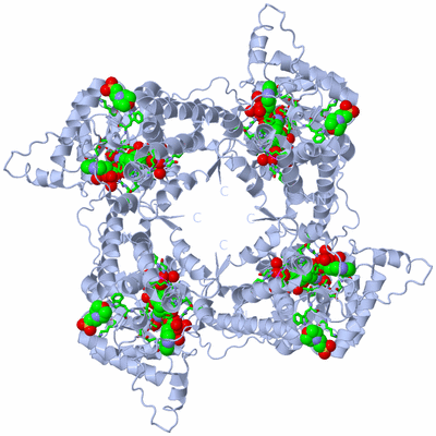 Image Biol. Unit 1 - sites