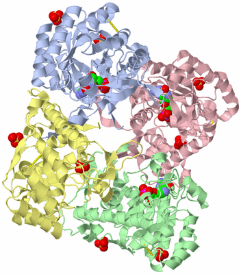 Image Asym./Biol. Unit