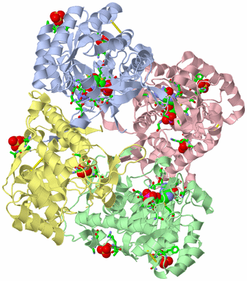 Image Asym./Biol. Unit - sites