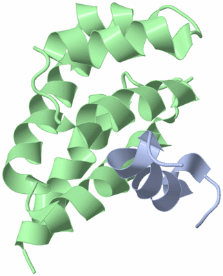 Image NMR Structure - model 1