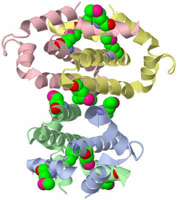 Image Biological Unit 1