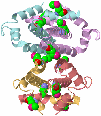 Image Biological Unit 2