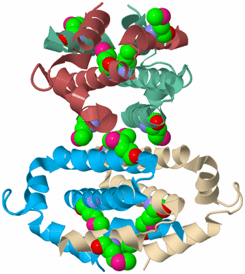 Image Biological Unit 3