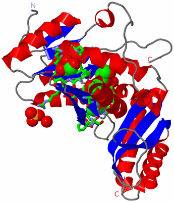 Image Asym. Unit - sites