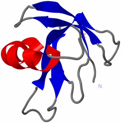 Image NMR Structure - model 1