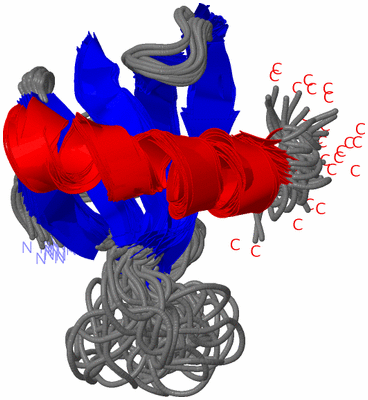 Image NMR Structure - all models