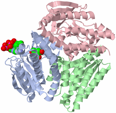 Image Asym./Biol. Unit
