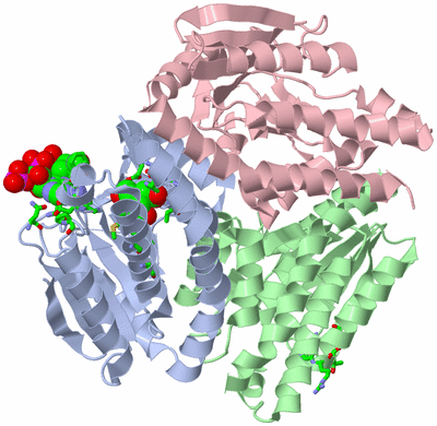 Image Asym./Biol. Unit - sites