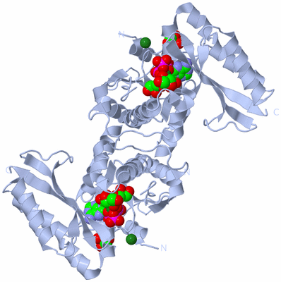 Image Biological Unit 1