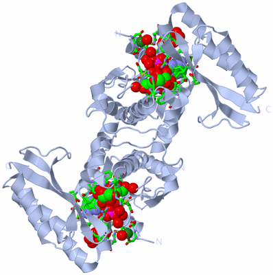 Image Biol. Unit 1 - sites