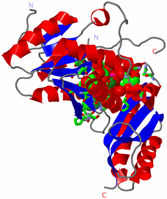 Image Asym. Unit - sites