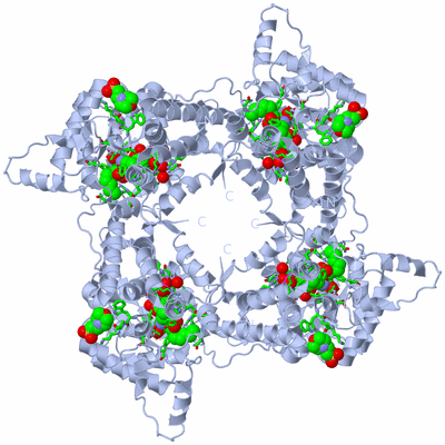 Image Biol. Unit 1 - sites