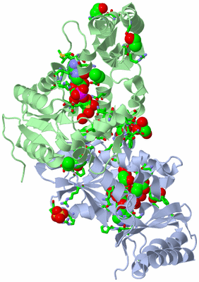 Image Asym./Biol. Unit - sites