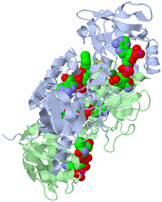 Image Asym./Biol. Unit